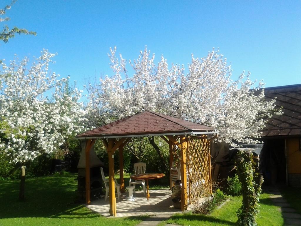 Homestay Ubytovani - Zakova *
