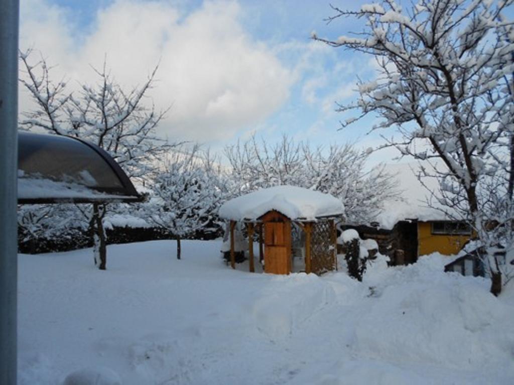 Homestay Ubytovani - Zakova *